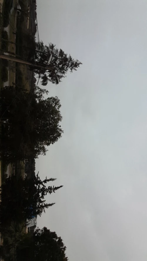 Location Immeuble Alger Zeralda