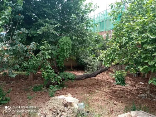 Vente Terrain Alger Said hamdine