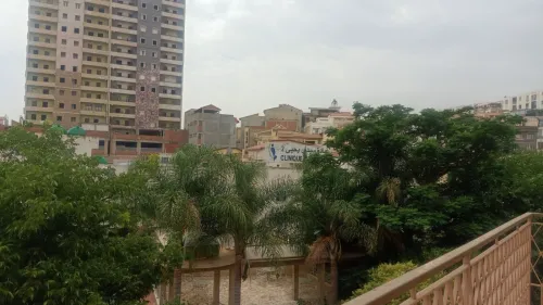 Vente Terrain Alger Said hamdine
