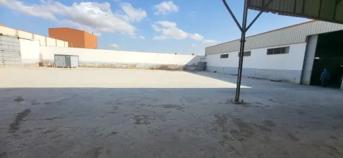 Location Hangar - Usine Oran Sidi chami