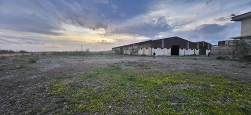 Vente Hangar - Usine Oran Hassi bounif