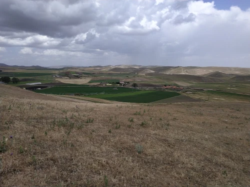 Vente Terrain Agricole Sétif El ouricia
