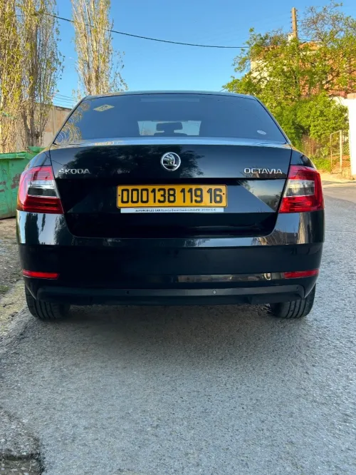 Skoda Octavia 2019 Octavia