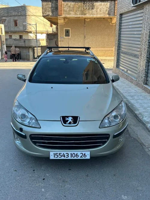 Peugeot 407 SW 2006 407 SW