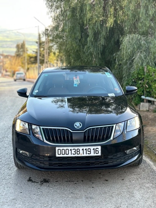 Skoda Octavia 2019 Octavia