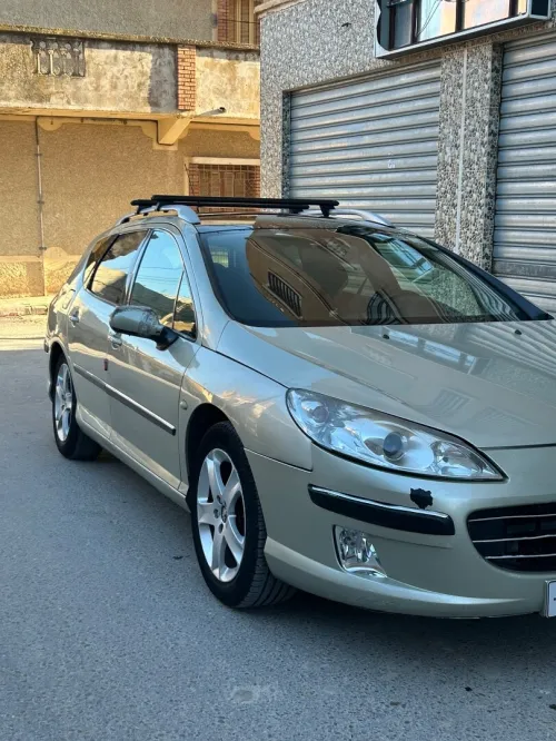 Peugeot 407 SW 2006 407 SW