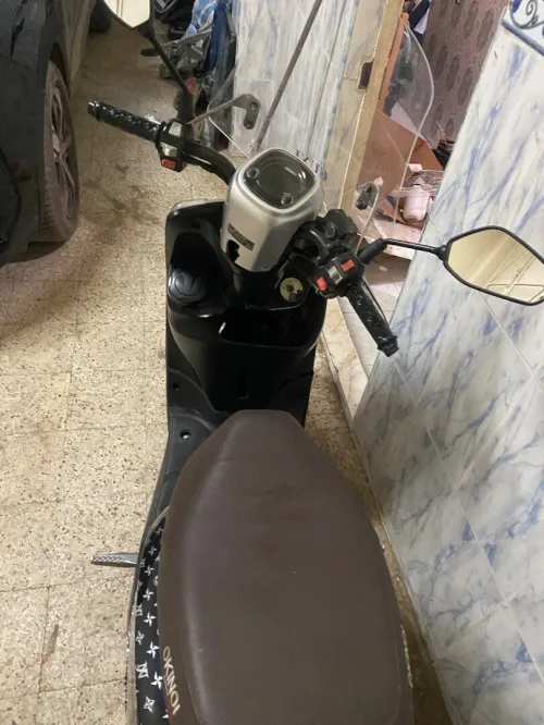 Okinoi Cuxi 1 2019
