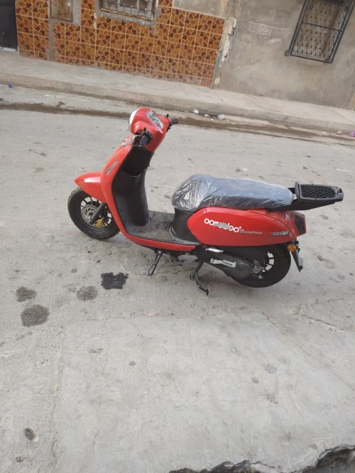 Vms panarea Panarea binili 2023