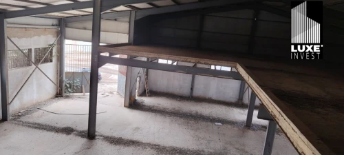 Vente Hangar - Usine Oran Oued tlelat