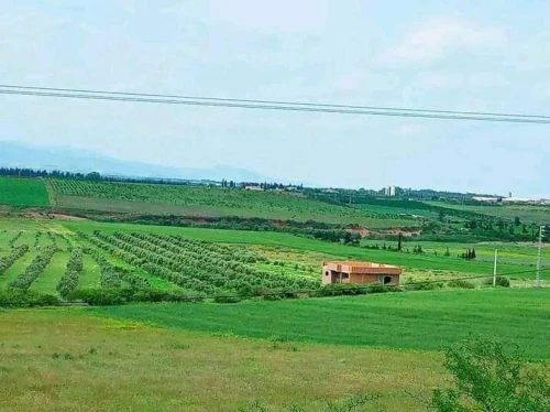 Vente Villa Tlemcen Marsa ben mhidi