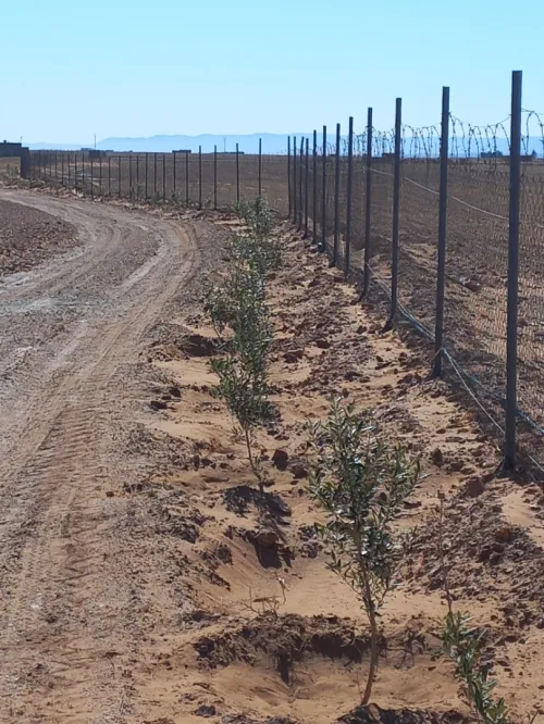 Vente Terrain Agricole Djelfa Benhar