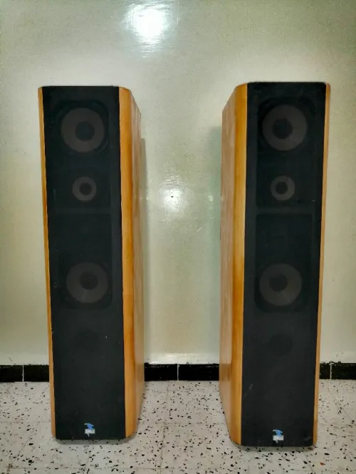 Focal JMlab Spectral 908.1 la quintessence de l'audio haute fidélité