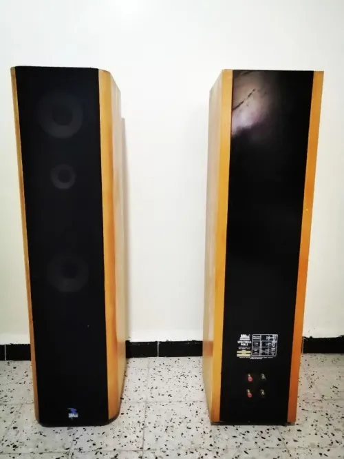 Focal JMlab Spectral 908.1 la quintessence de l'audio haute fidélité