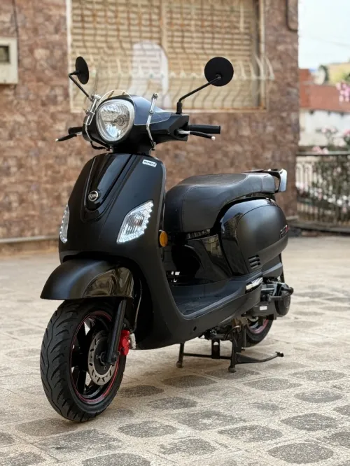 Sym Fiddel 3 2024