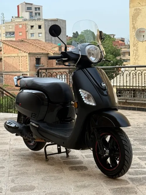 Sym Fiddel 3 2024