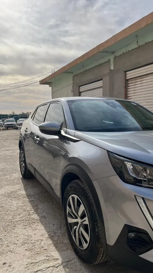 Peugeot 2008 2021 