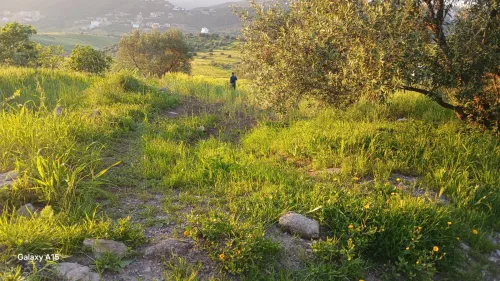 Vente Terrain Tizi Ouzou Ain zaouia