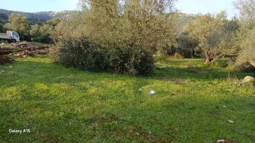 Vente Terrain Tizi Ouzou Mechtrass