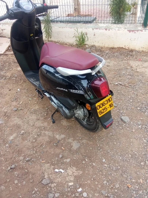 PANAREA BENELLI 2025