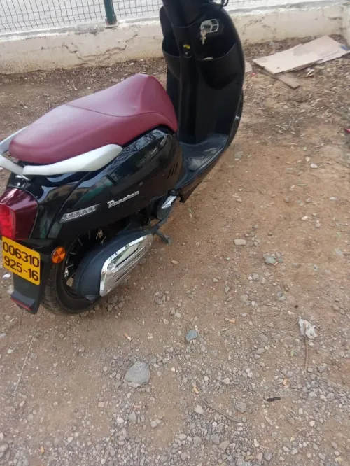 PANAREA BENELLI 2025