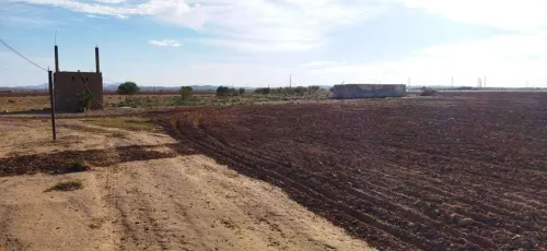 Vente Terrain Agricole Msila Zerarka