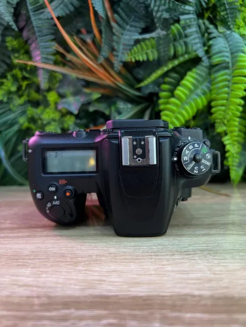Nikon D7500