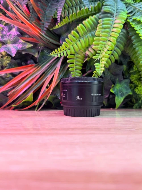Canon 50mm 