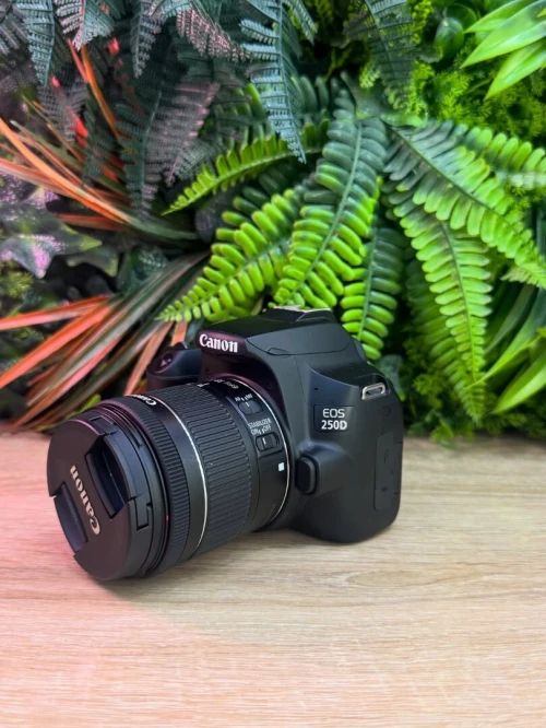 Canon 250D 