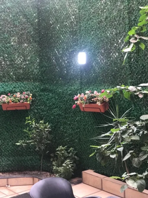 Location Appartement F3 Alger Bouzareah