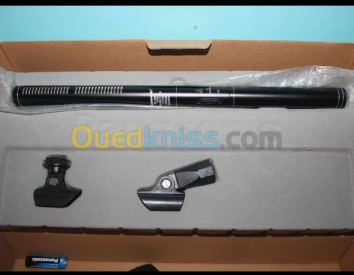 microphone Panasonic 