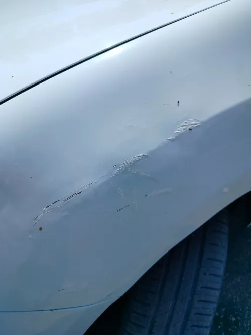 Renault Symbol 2018 Collection
