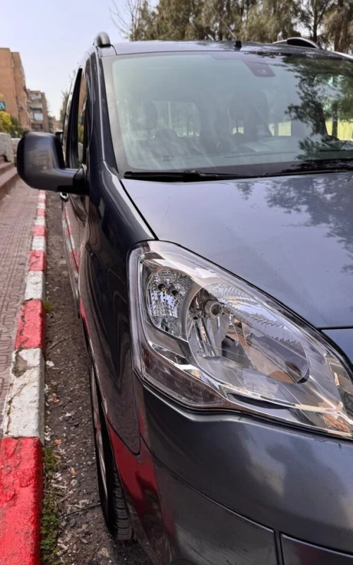 Citroen Berlingo Multispace 2008 Berlingo Multispace