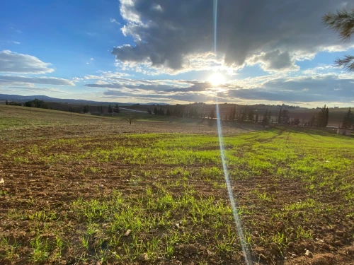 Vente Terrain Médéa Beni slimane