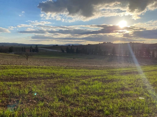 Vente Terrain Médéa Beni slimane