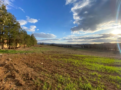 Vente Terrain Médéa Beni slimane