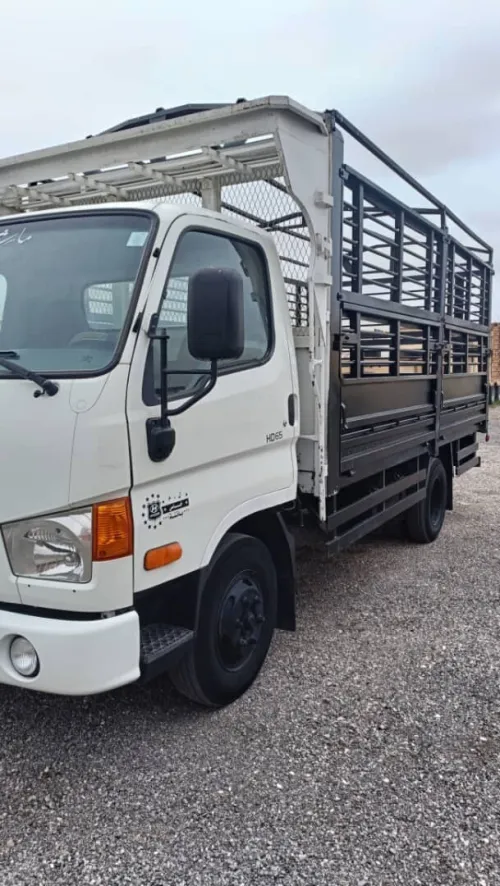 Hyundai HD65 2019
