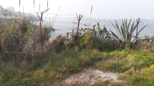 Location Local Alger Hammamet