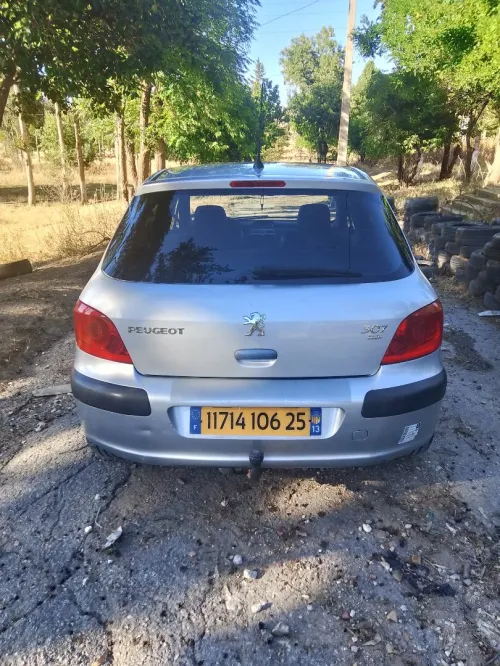 Peugeot 307 2006 Oxygo