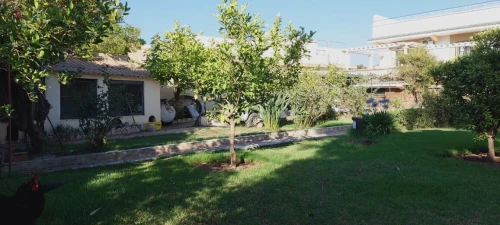Vente Villa Blida Beni mered