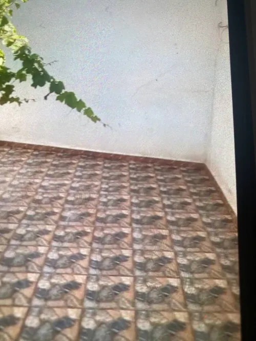 Vente Appartement F3 Alger Douera