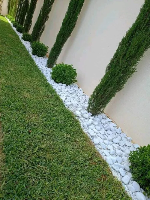 Gazon naturel عشب طبيعي