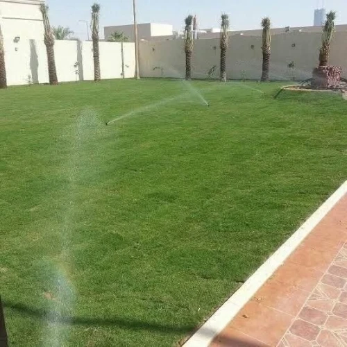 Gazon naturel عشب طبيعي
