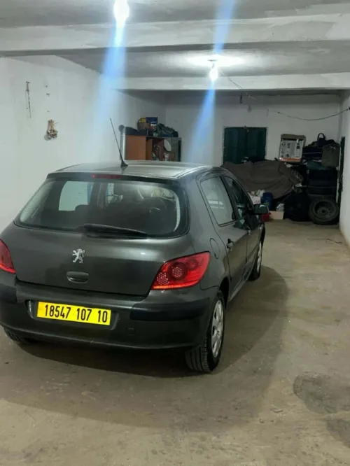 Peugeot 307 2007 Oxygo