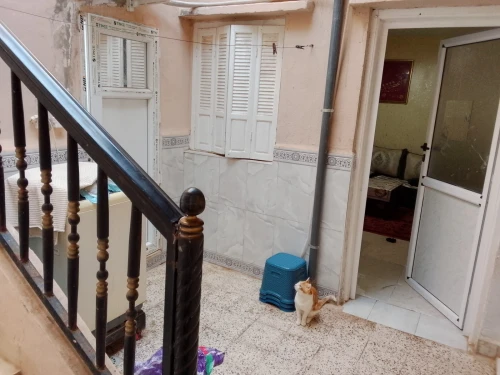 Vente bien immobilier Mascara Alaimia