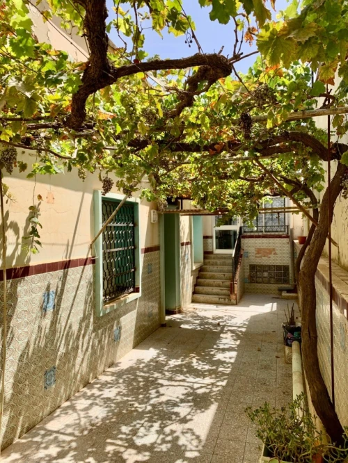Vente Villa Tlemcen Tlemcen