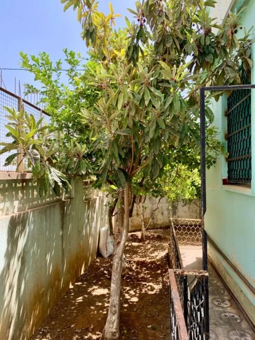 Vente Villa Tlemcen Tlemcen