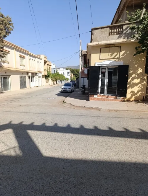 Location Local Tlemcen Tlemcen