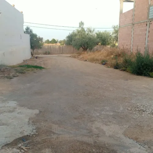 Vente Terrain Tlemcen Tlemcen