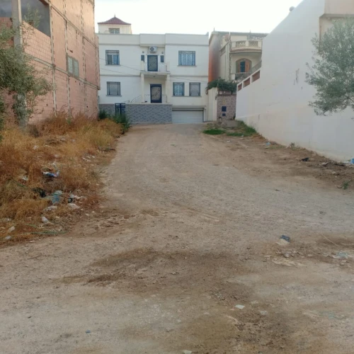 Vente Terrain Tlemcen Tlemcen