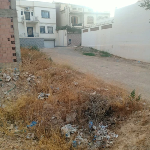 Vente Terrain Tlemcen Tlemcen